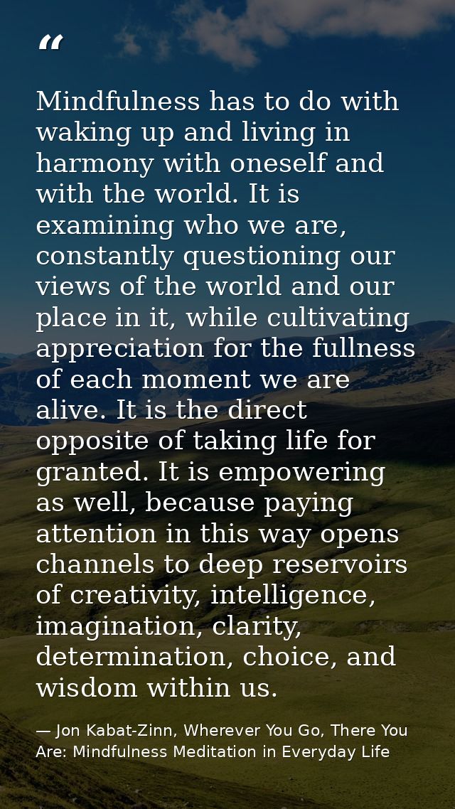 Mindfulness has to do with waking up and living in harmony with oneself and with the world. It is examining who we are,  — Jon Kabat-Zinn, Wherever You Go, There You Are: Mindfulness Meditation in Everyday Life