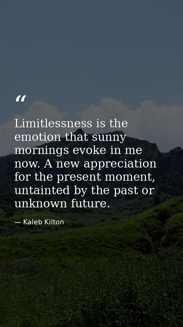 Limitlessness is the emotion that sunny mornings evoke in me now. A new appreciation for the present moment, untainted b — Kaleb Kilton