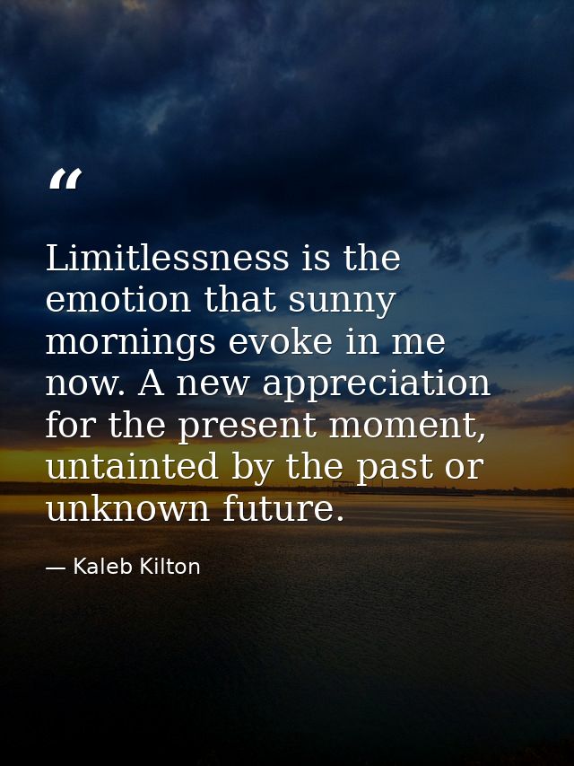 Limitlessness is the emotion that sunny mornings evoke in me now. A new appreciation for the present moment, untainted b — Kaleb Kilton