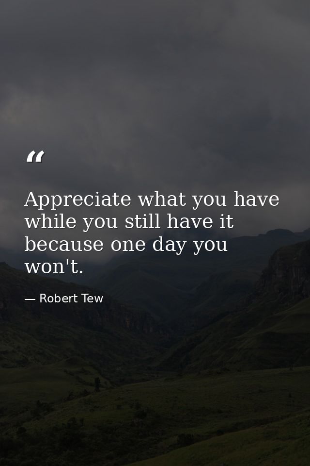 Appreciate what you have while you still have it because one day you won't. — Robert Tew