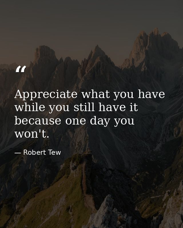 Appreciate what you have while you still have it because one day you won't. — Robert Tew