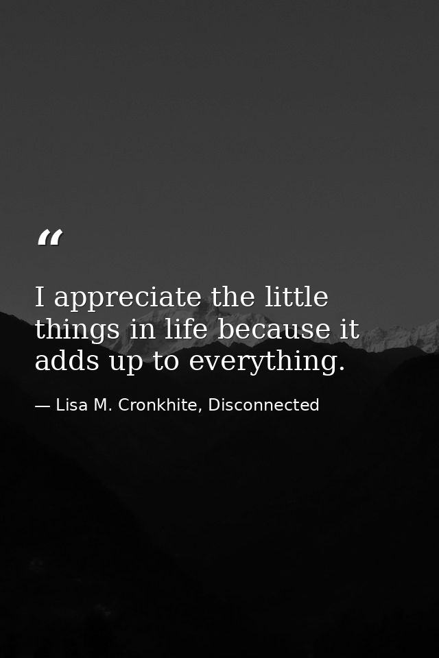 I appreciate the little things in life because it adds up to everything. — Lisa M. Cronkhite, Disconnected