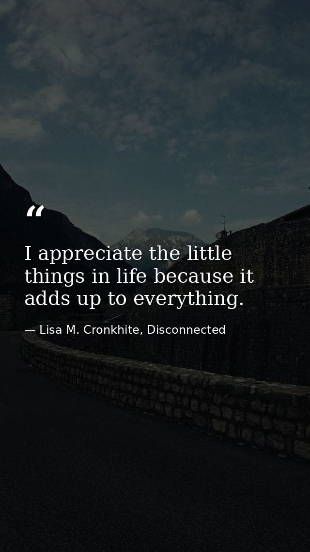 I appreciate the little things in life because it adds up to everything. — Lisa M. Cronkhite, Disconnected