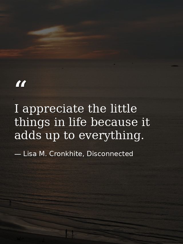 I appreciate the little things in life because it adds up to everything. — Lisa M. Cronkhite, Disconnected