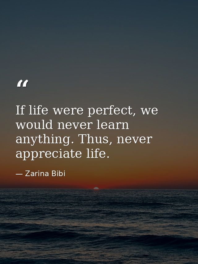 If life were perfect, we would never learn anything. Thus, never appreciate life. — Zarina Bibi