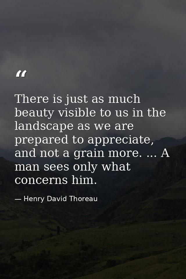 There is just as much beauty visible to us in the landscape as we are prepared to appreciate, and not a grain more. ...  — Henry David Thoreau
