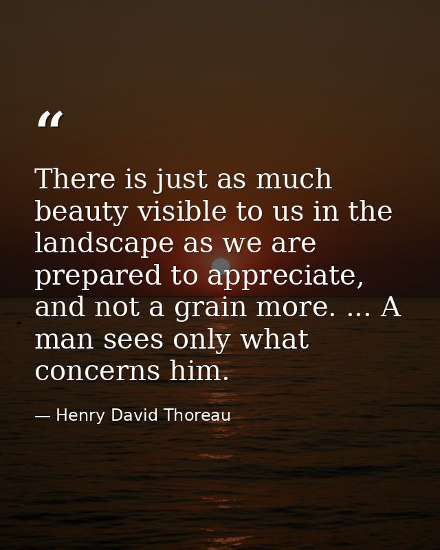 There is just as much beauty visible to us in the landscape as we are prepared to appreciate, and not a grain more. ...  — Henry David Thoreau