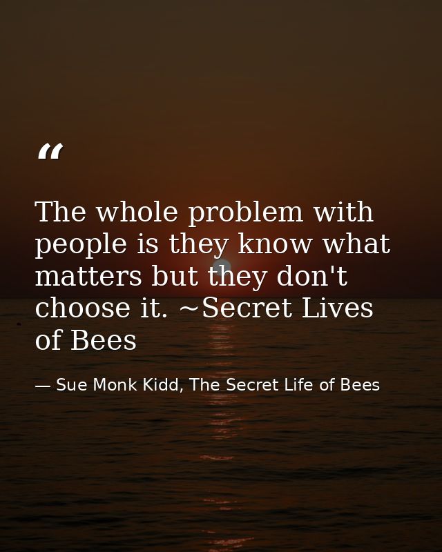 The whole problem with people is they know what matters but they don't choose it. ~Secret Lives of Bees — Sue Monk Kidd, The Secret Life of Bees