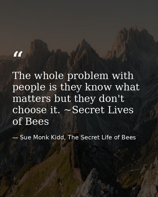 The whole problem with people is they know what matters but they don't choose it. ~Secret Lives of Bees — Sue Monk Kidd, The Secret Life of Bees