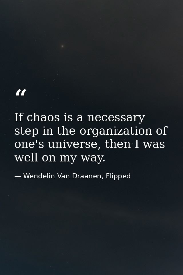 If chaos is a necessary step in the organization of one's universe, then I was well on my way. — Wendelin Van Draanen, Flipped