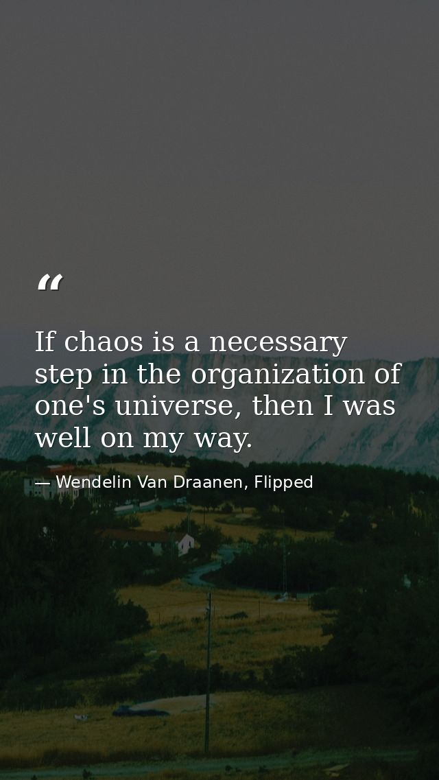 If chaos is a necessary step in the organization of one's universe, then I was well on my way. — Wendelin Van Draanen, Flipped