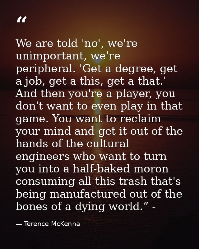 We are told 'no', we're unimportant, we're peripheral. 'Get a degree, get a job, get a this, get a that.' And then you'r — Terence McKenna