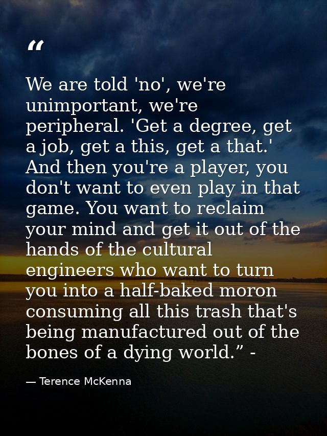 We are told 'no', we're unimportant, we're peripheral. 'Get a degree, get a job, get a this, get a that.' And then you'r — Terence McKenna