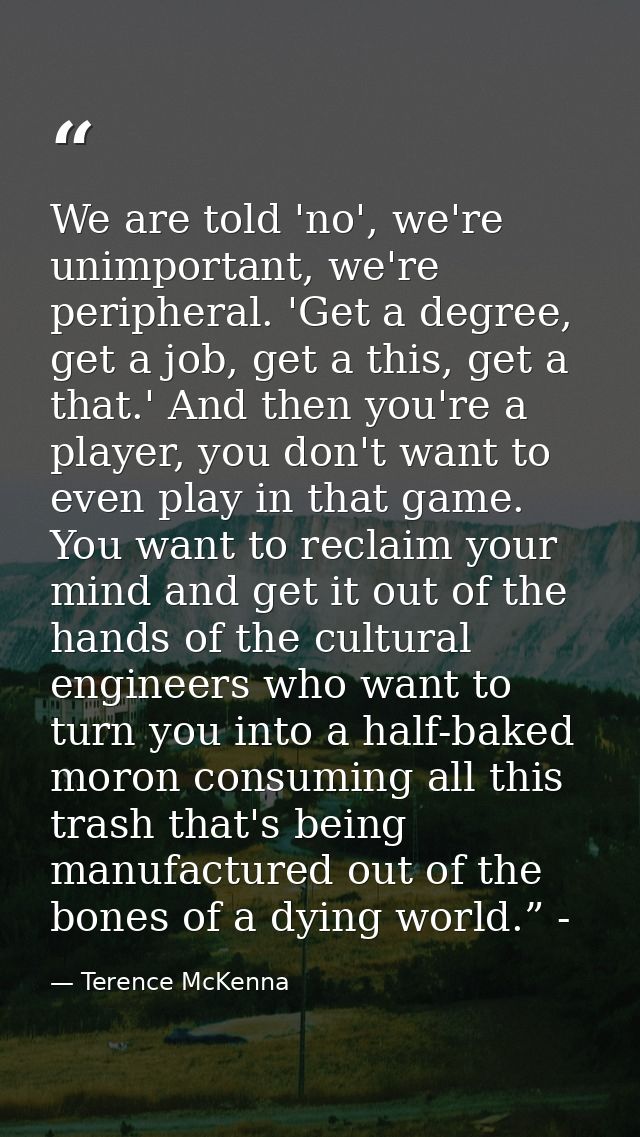 We are told 'no', we're unimportant, we're peripheral. 'Get a degree, get a job, get a this, get a that.' And then you'r — Terence McKenna