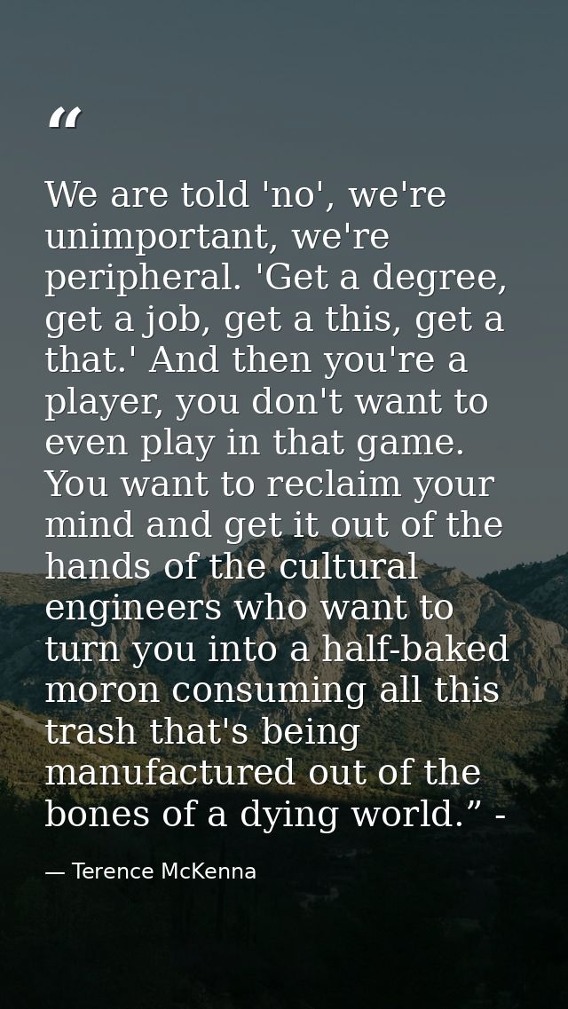 We are told 'no', we're unimportant, we're peripheral. 'Get a degree, get a job, get a this, get a that.' And then you'r — Terence McKenna