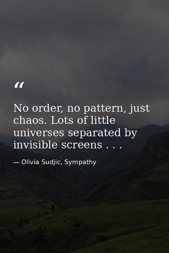 No order, no pattern, just chaos. Lots of little universes separated by invisible screens . . . — Olivia Sudjic, Sympathy