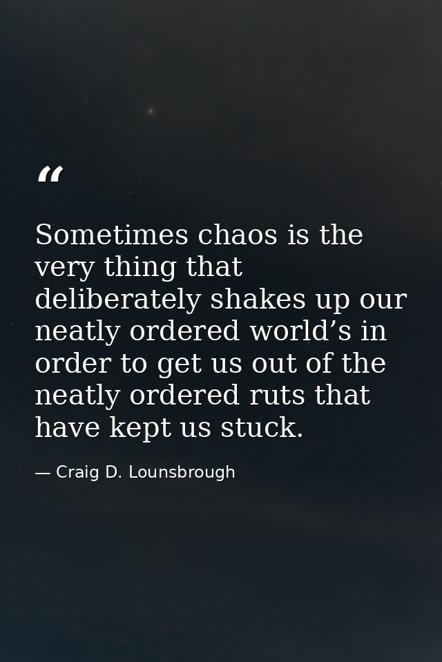 Sometimes chaos is the very thing that deliberately shakes up our neatly ordered world’s in order to get us out of the n — Craig D. Lounsbrough