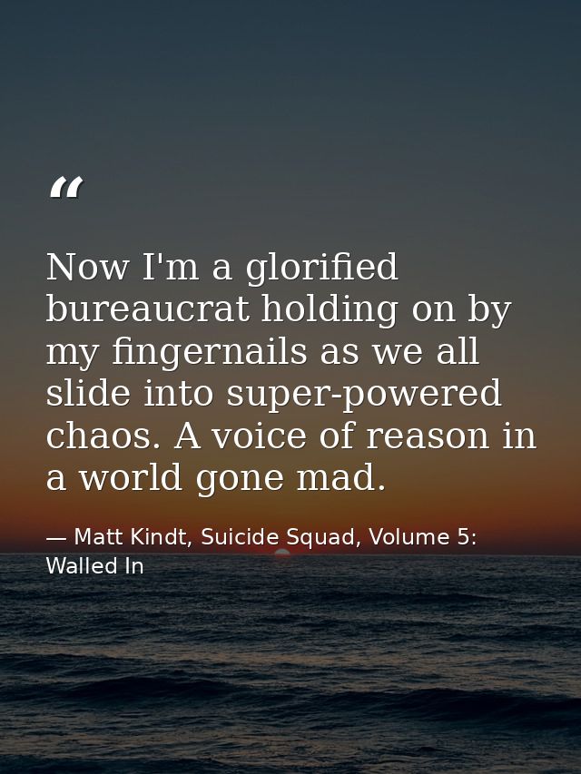Now I'm a glorified bureaucrat holding on by my fingernails as we all slide into super-powered chaos. A voice of reason  — Matt Kindt, Suicide Squad, Volume 5: Walled In