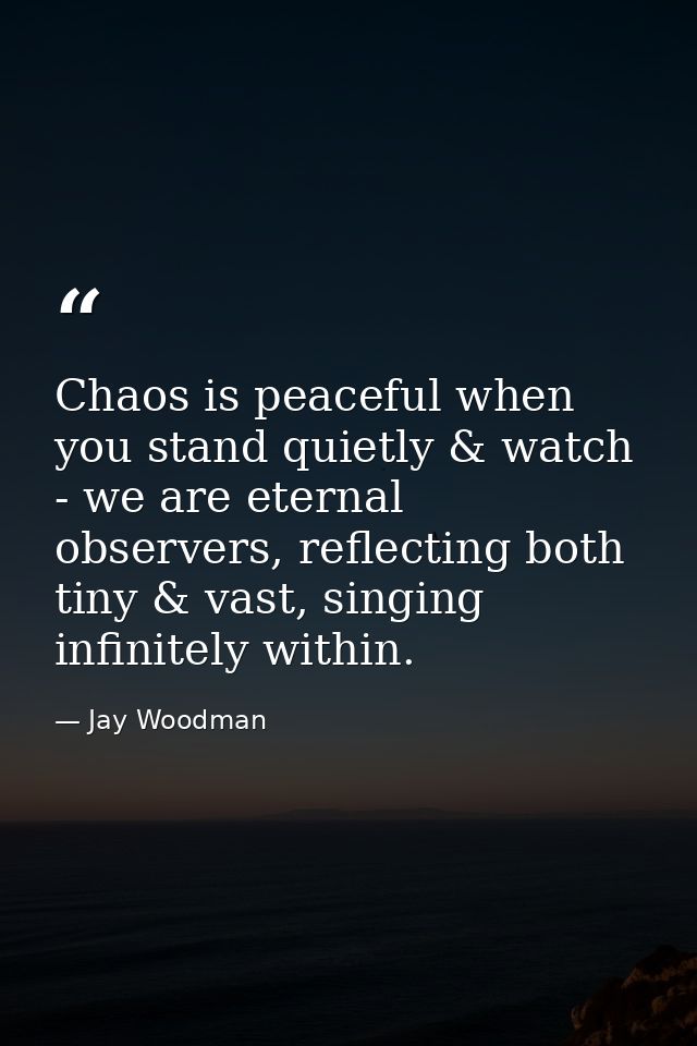 Chaos is peaceful when you stand quietly & watch - we are eternal observers, reflecting both tiny & vast, singing infini — Jay Woodman