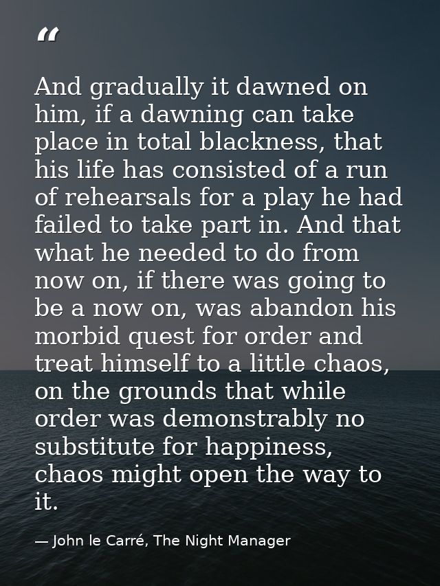 And gradually it dawned on him, if a dawning can take place in total blackness, that his life has consisted of a run of  — John le Carré, The Night Manager