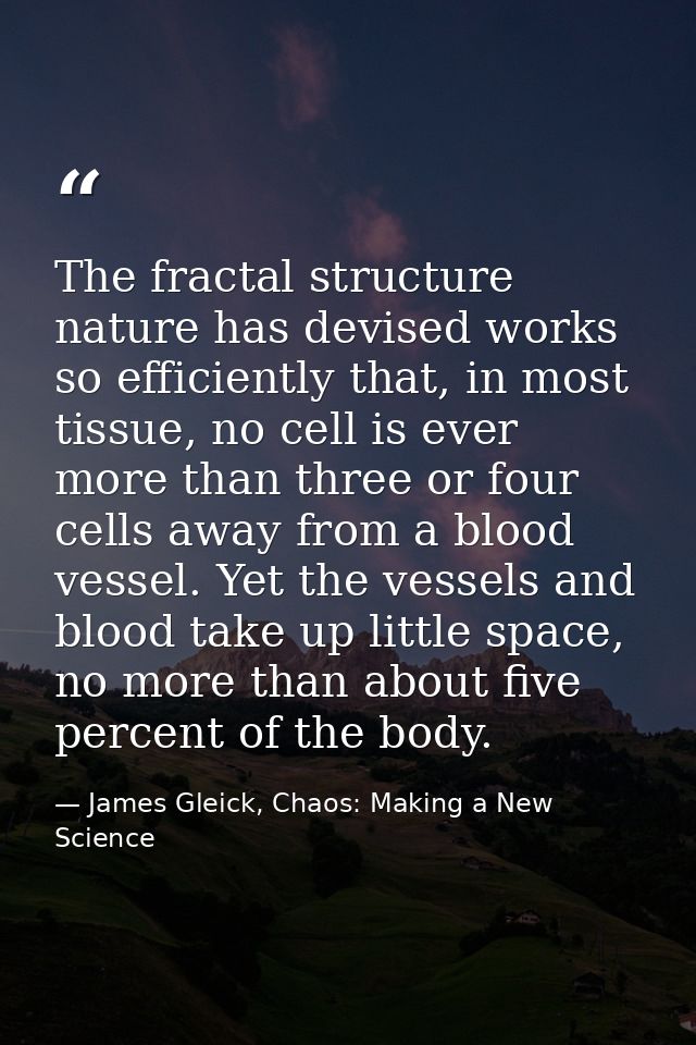 The fractal structure nature has devised works so efficiently that, in most tissue, no cell is ever more than three or f — James Gleick, Chaos: Making a New Science