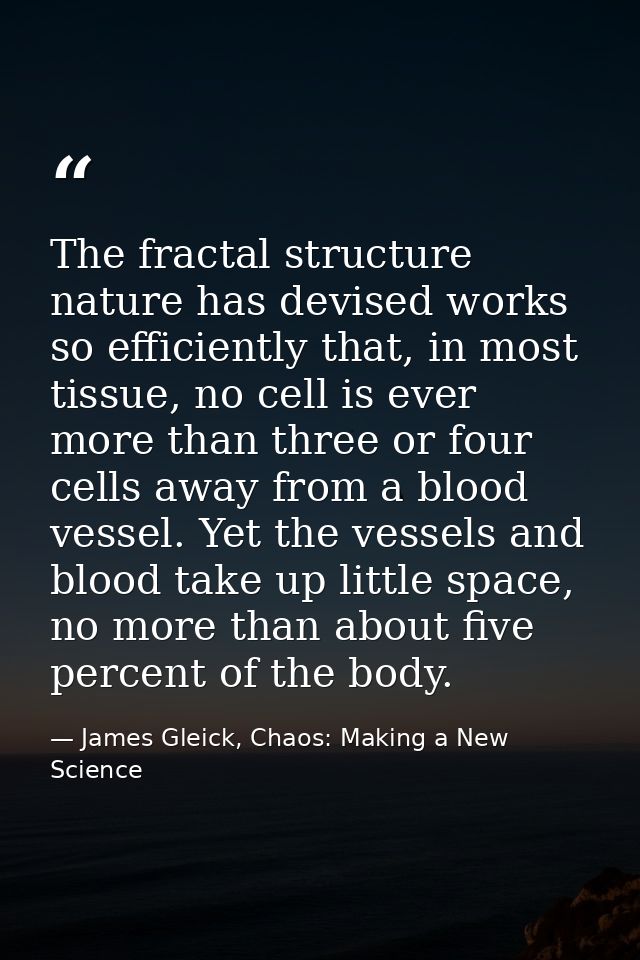 The fractal structure nature has devised works so efficiently that, in most tissue, no cell is ever more than three or f — James Gleick, Chaos: Making a New Science