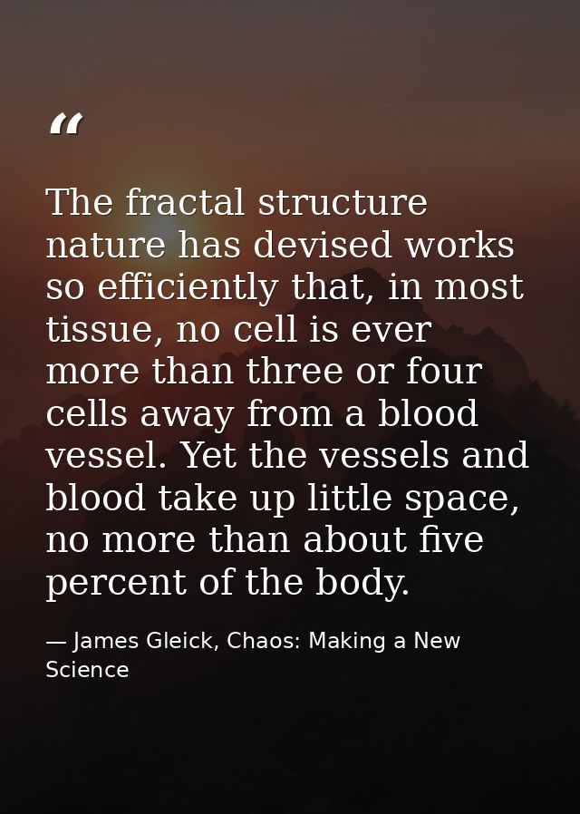 The fractal structure nature has devised works so efficiently that, in most tissue, no cell is ever more than three or f — James Gleick, Chaos: Making a New Science