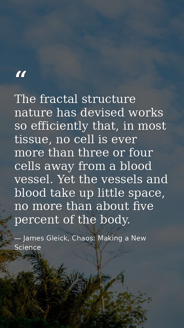 The fractal structure nature has devised works so efficiently that, in most tissue, no cell is ever more than three or f — James Gleick, Chaos: Making a New Science