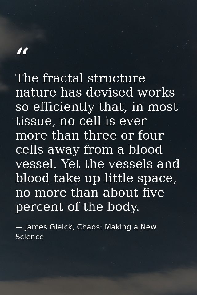 The fractal structure nature has devised works so efficiently that, in most tissue, no cell is ever more than three or f — James Gleick, Chaos: Making a New Science