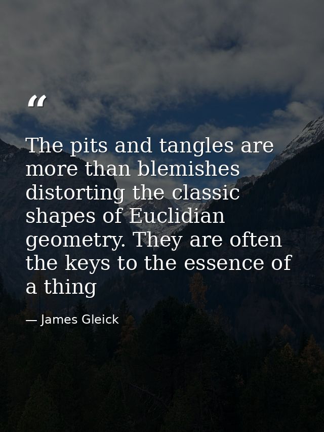 The pits and tangles are more than blemishes distorting the classic shapes of Euclidian geometry. They are often the key — James Gleick