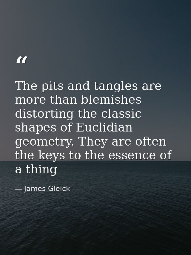 The pits and tangles are more than blemishes distorting the classic shapes of Euclidian geometry. They are often the key — James Gleick