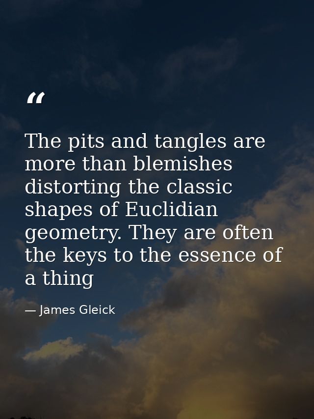The pits and tangles are more than blemishes distorting the classic shapes of Euclidian geometry. They are often the key — James Gleick