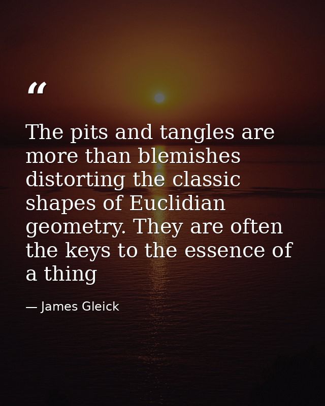 The pits and tangles are more than blemishes distorting the classic shapes of Euclidian geometry. They are often the key — James Gleick