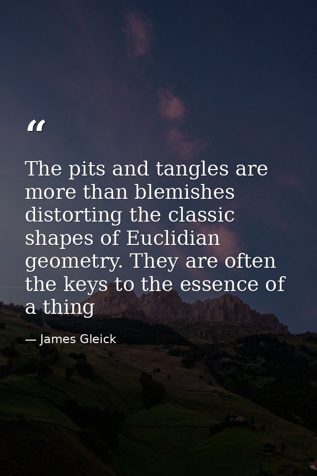 The pits and tangles are more than blemishes distorting the classic shapes of Euclidian geometry. They are often the key — James Gleick