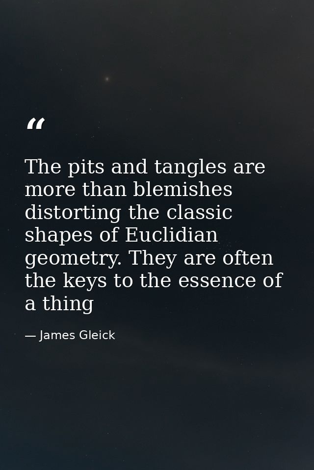 The pits and tangles are more than blemishes distorting the classic shapes of Euclidian geometry. They are often the key — James Gleick