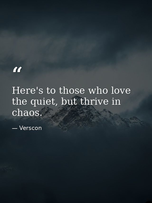 Here's to those who love the quiet, but thrive in chaos. — Verscon