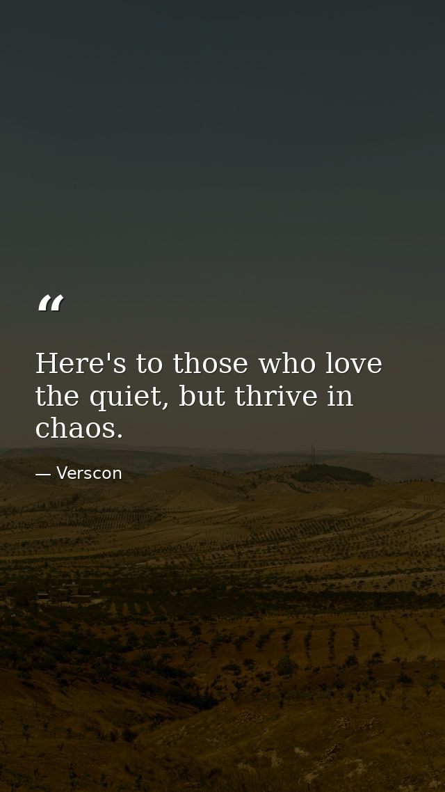 Here's to those who love the quiet, but thrive in chaos. — Verscon