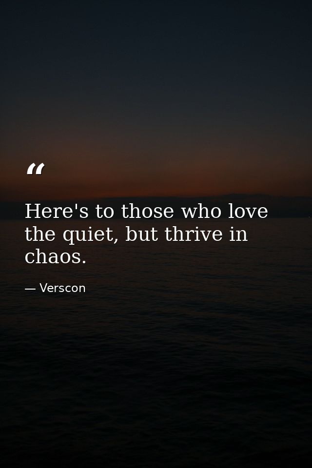 Here's to those who love the quiet, but thrive in chaos. — Verscon