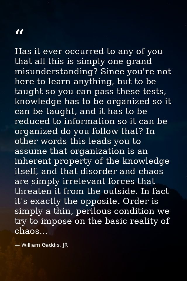 Has it ever occurred to any of you that all this is simply one grand misunderstanding? Since you're not here to learn an — William Gaddis, JR
