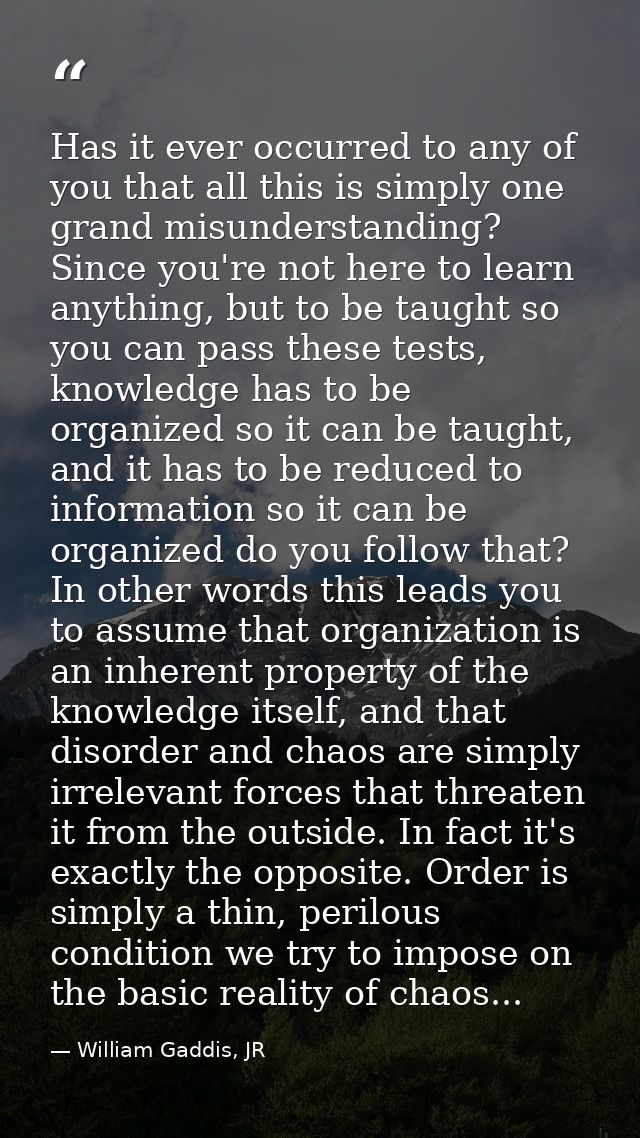 Has it ever occurred to any of you that all this is simply one grand misunderstanding? Since you're not here to learn an — William Gaddis, JR