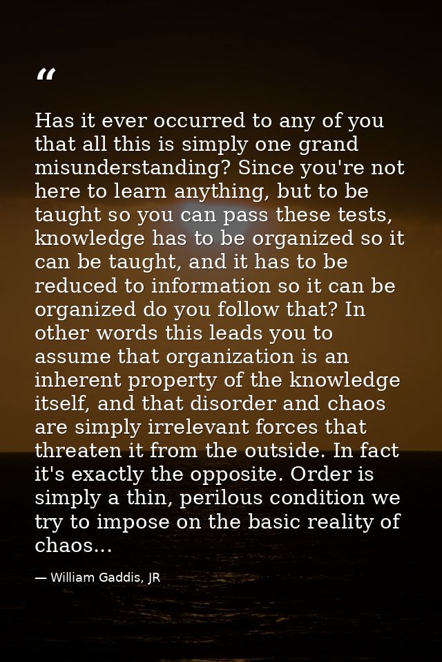 Has it ever occurred to any of you that all this is simply one grand misunderstanding? Since you're not here to learn an — William Gaddis, JR