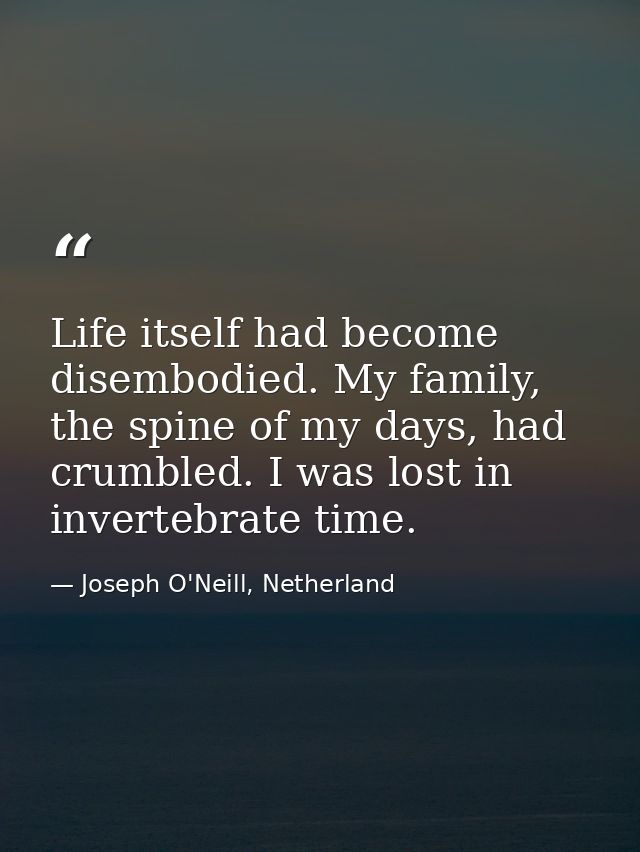 Life itself had become disembodied. My family, the spine of my days, had crumbled. I was lost in invertebrate time. — Joseph O'Neill, Netherland