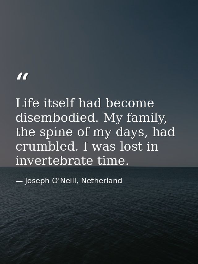Life itself had become disembodied. My family, the spine of my days, had crumbled. I was lost in invertebrate time. — Joseph O'Neill, Netherland