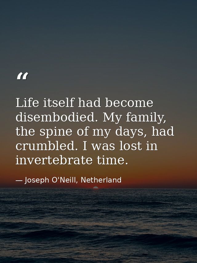 Life itself had become disembodied. My family, the spine of my days, had crumbled. I was lost in invertebrate time. — Joseph O'Neill, Netherland