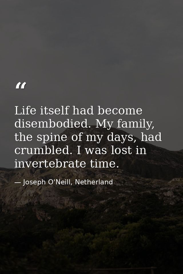 Life itself had become disembodied. My family, the spine of my days, had crumbled. I was lost in invertebrate time. — Joseph O'Neill, Netherland