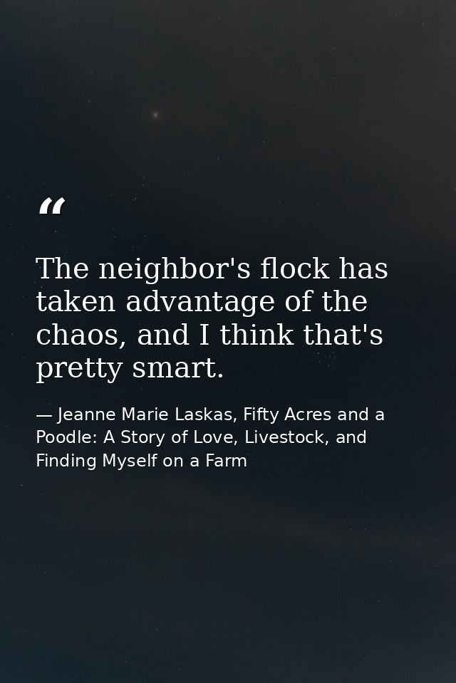 The neighbor's flock has taken advantage of the chaos, and I think that's pretty smart. — Jeanne Marie Laskas, Fifty Acres and a Poodle: A Story of Love, Livestock, and Finding Myself on a Farm