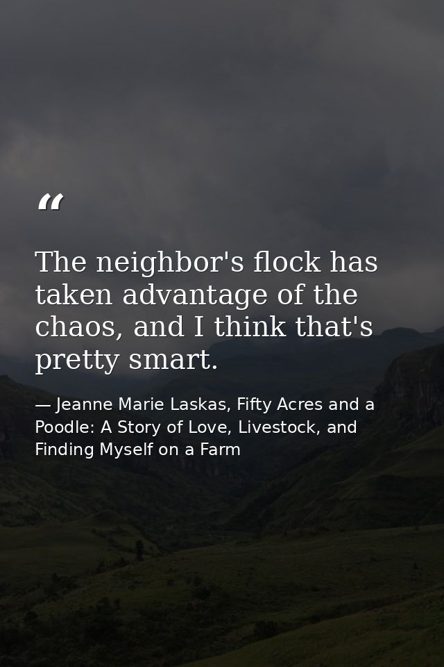 The neighbor's flock has taken advantage of the chaos, and I think that's pretty smart. — Jeanne Marie Laskas, Fifty Acres and a Poodle: A Story of Love, Livestock, and Finding Myself on a Farm
