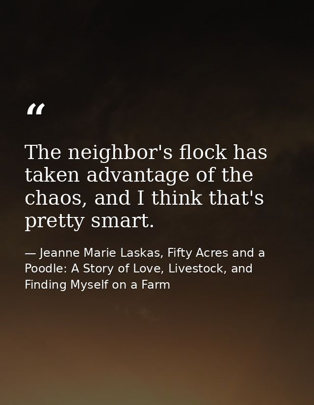 The neighbor's flock has taken advantage of the chaos, and I think that's pretty smart. — Jeanne Marie Laskas, Fifty Acres and a Poodle: A Story of Love, Livestock, and Finding Myself on a Farm
