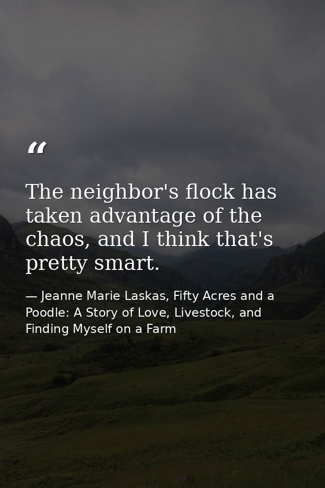 The neighbor's flock has taken advantage of the chaos, and I think that's pretty smart. — Jeanne Marie Laskas, Fifty Acres and a Poodle: A Story of Love, Livestock, and Finding Myself on a Farm