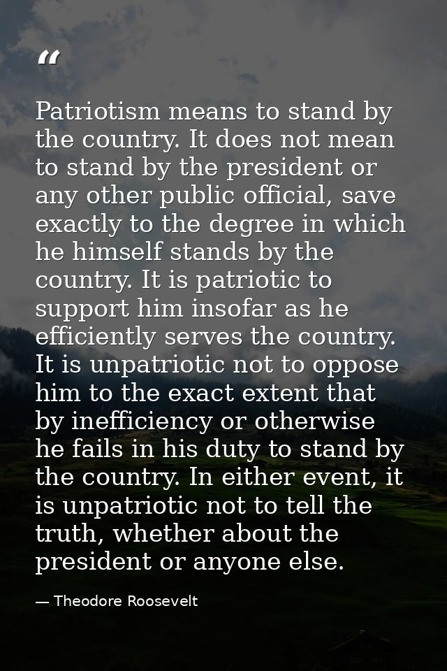 Patriotism means to stand by the country. It does not mean to stand by the president or any other public official, save  — Theodore Roosevelt